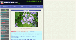 Desktop Screenshot of fira.jp